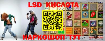 Альфа ПВП Аргун