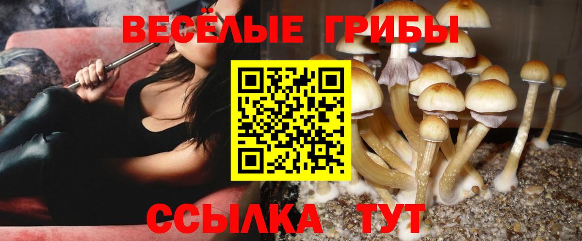 Псилоцибиновые грибы мицелий  Вход с VPN  Галлюциногенные грибы Magic Shrooms  Великий Устюг 