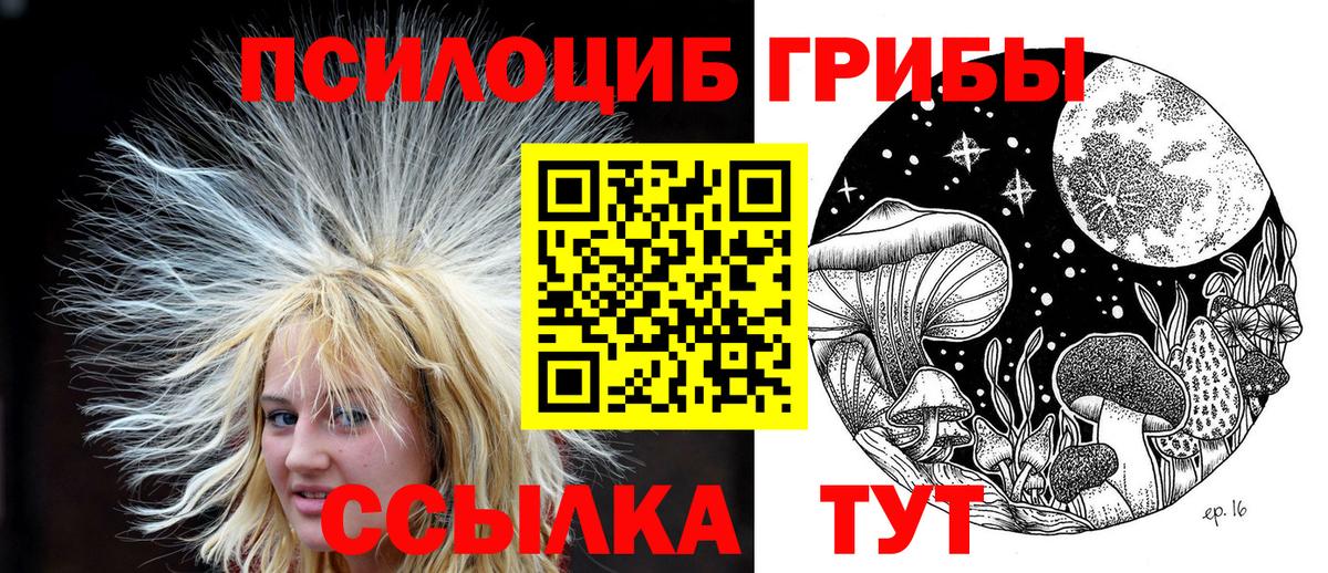 Галлюциногенные грибы прущие грибы Великий Устюг